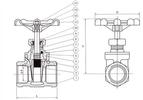 Z15W-16T内螺纹铜闸阀(图1)